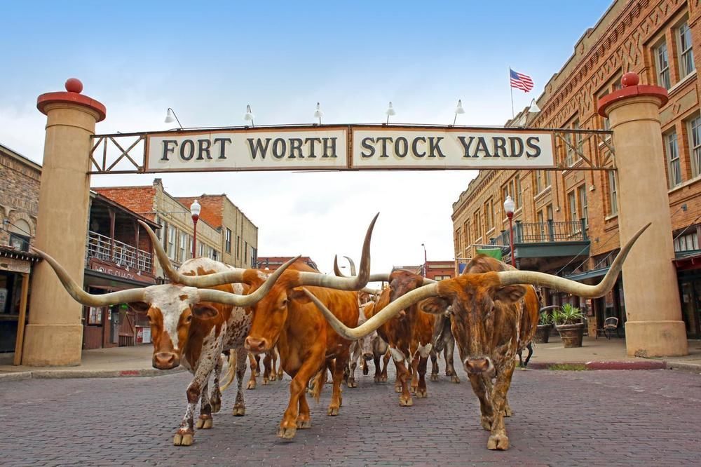 Scottish Inns Fort Worth Kültér fotó